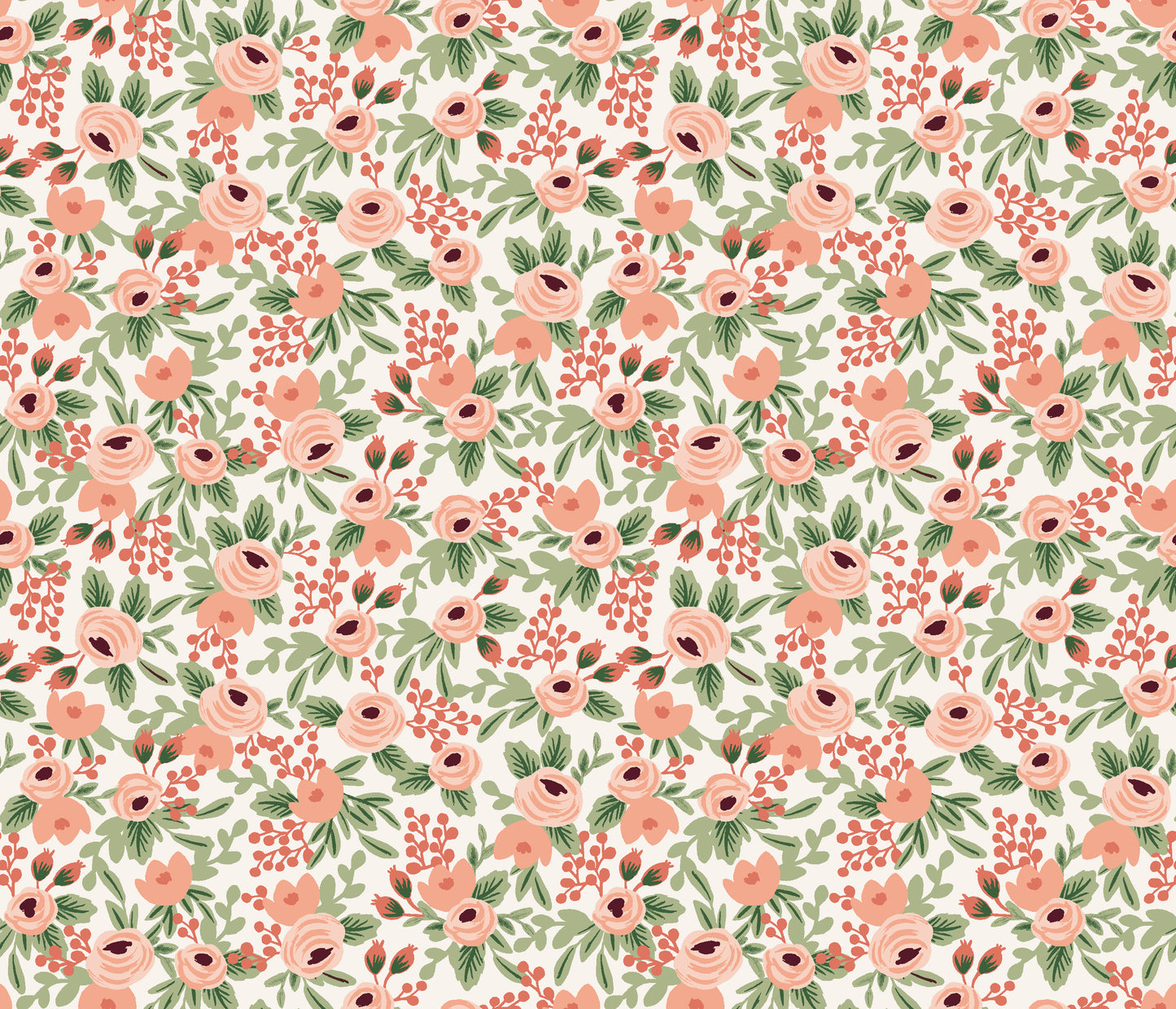 Rosa - Rose