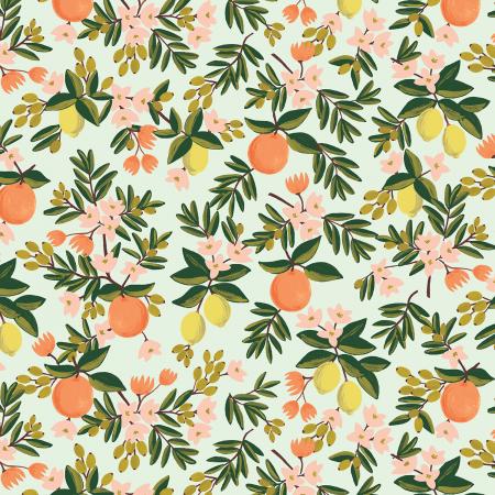 Citrus Floral - Mint
