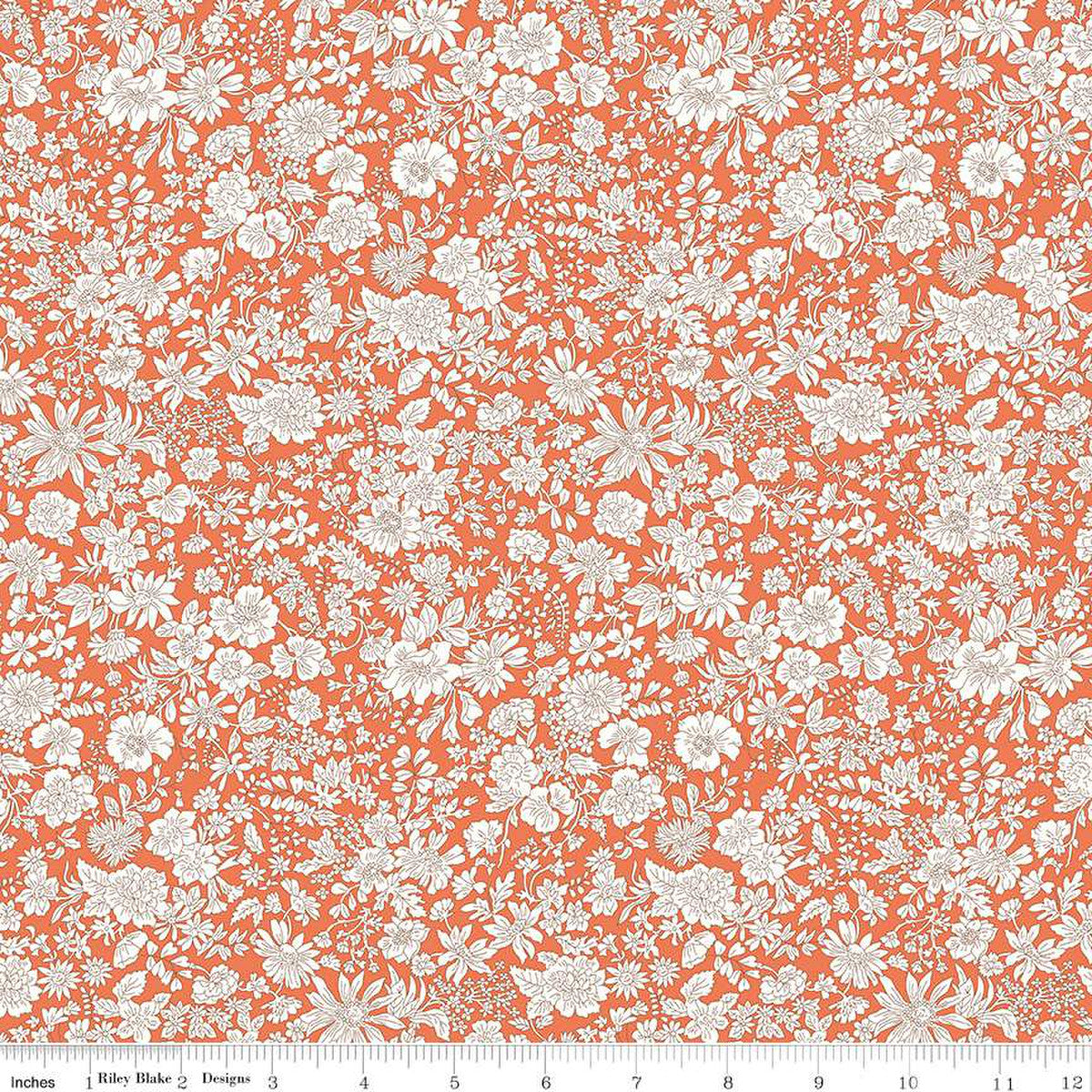 Emily Belle - Tangerine