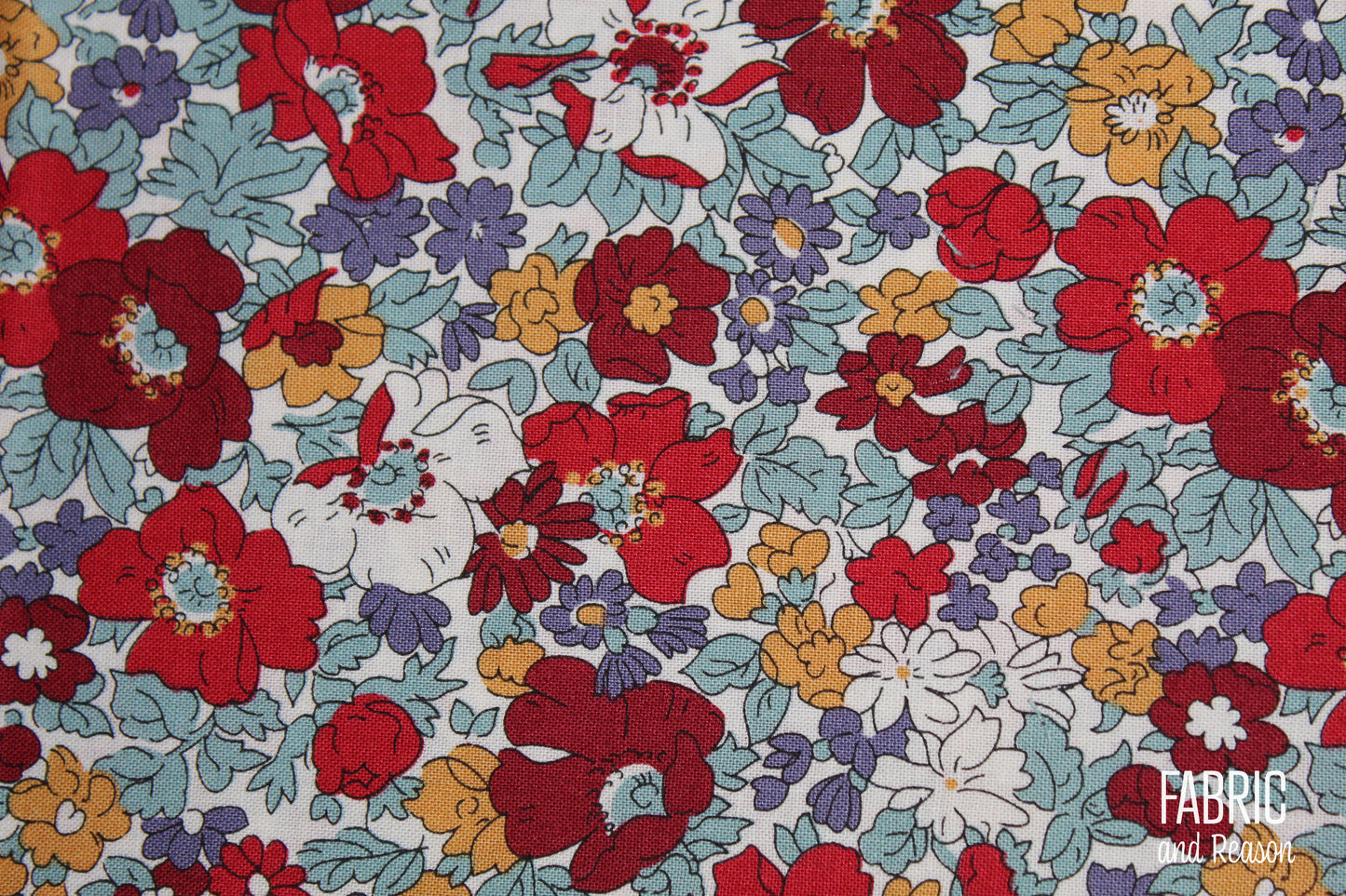 Cosmos Bloom