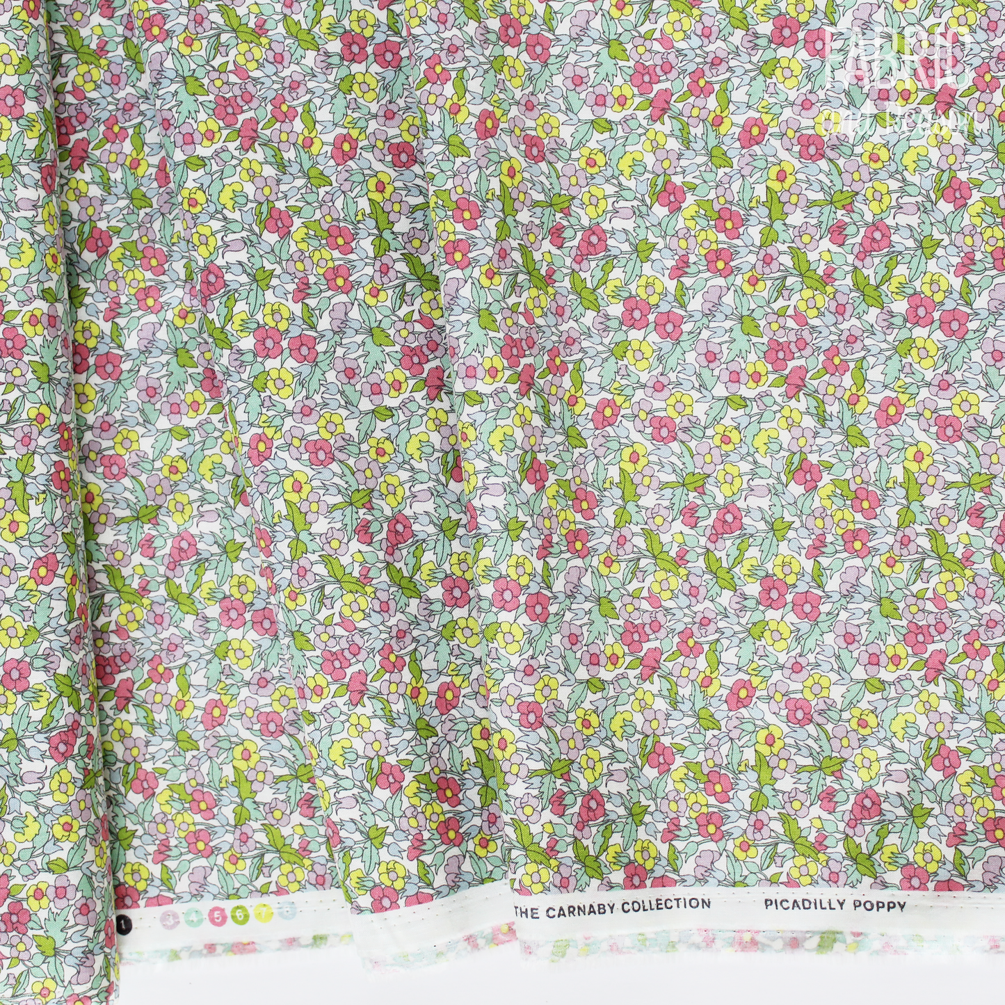 Piccadilly Poppy C